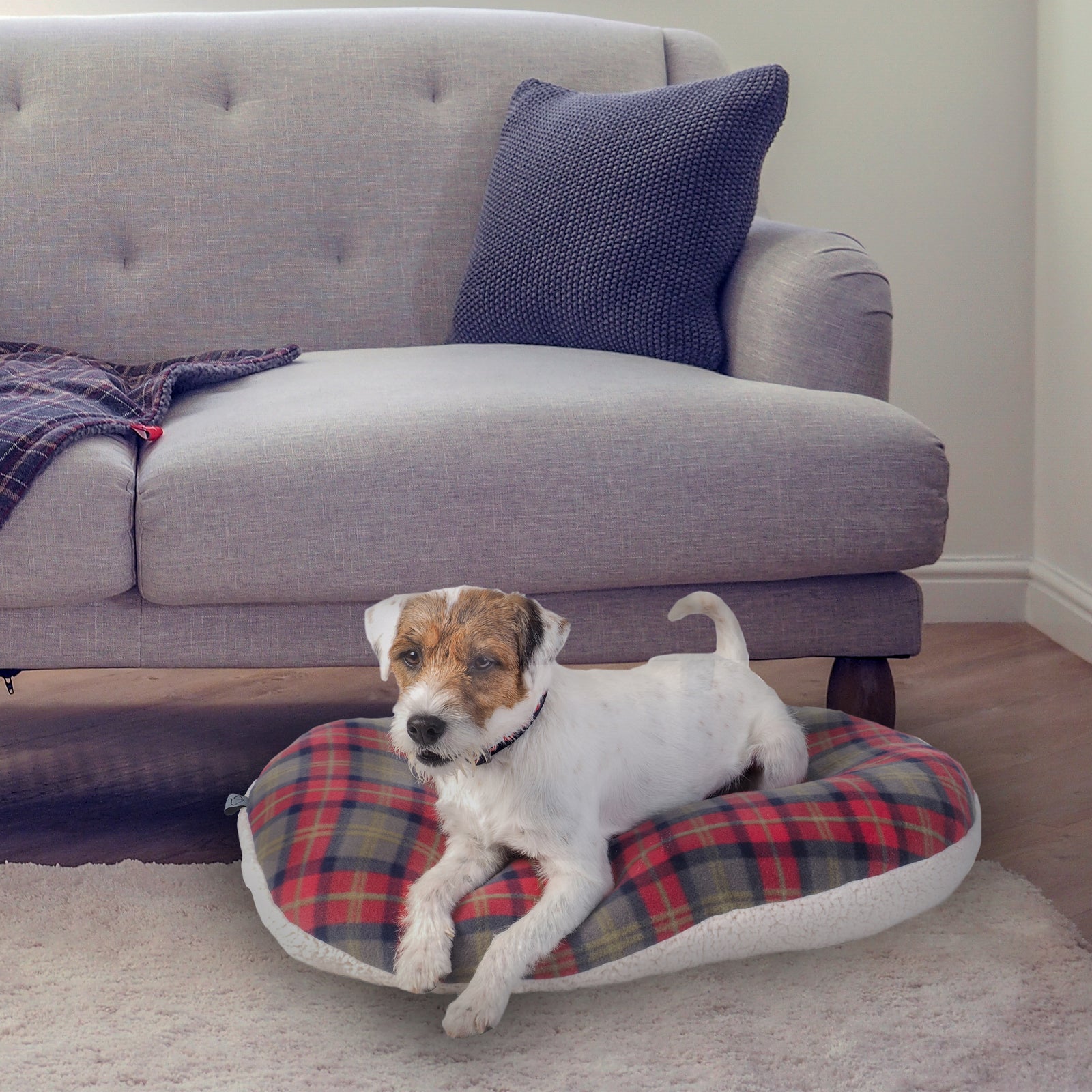 Designer Pet Dog Bowl for Small Dogs Plaid Pet Feeder Pad