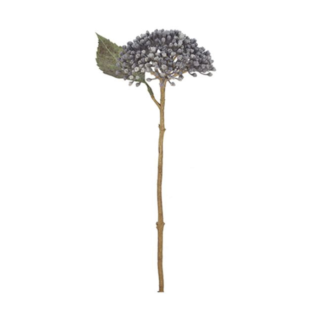 Grey Dry Berry Spray Hydrangea