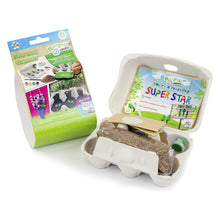 Load image into Gallery viewer, Kids Create Grow Your Own Garden Set With Recycled Egg Box
