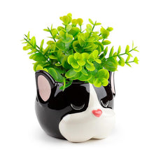 Load image into Gallery viewer, Decorative French Ceramic Bulldog Indoor Shaped Planter
