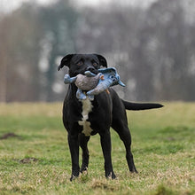 Load image into Gallery viewer, Rosewood Safari Tough Elephant Dog Toy
