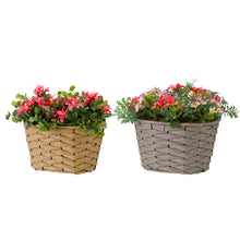 Load image into Gallery viewer, Smart Garden Faux Petal Panniers Assorted
