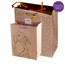 Load image into Gallery viewer, Partisan Craft Design Easter Gift Bag M/L Assorted
