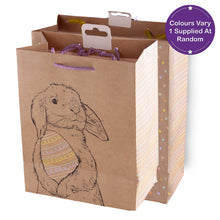 Load image into Gallery viewer, Partisan Craft Design Easter Gift Bag M/L Assorted
