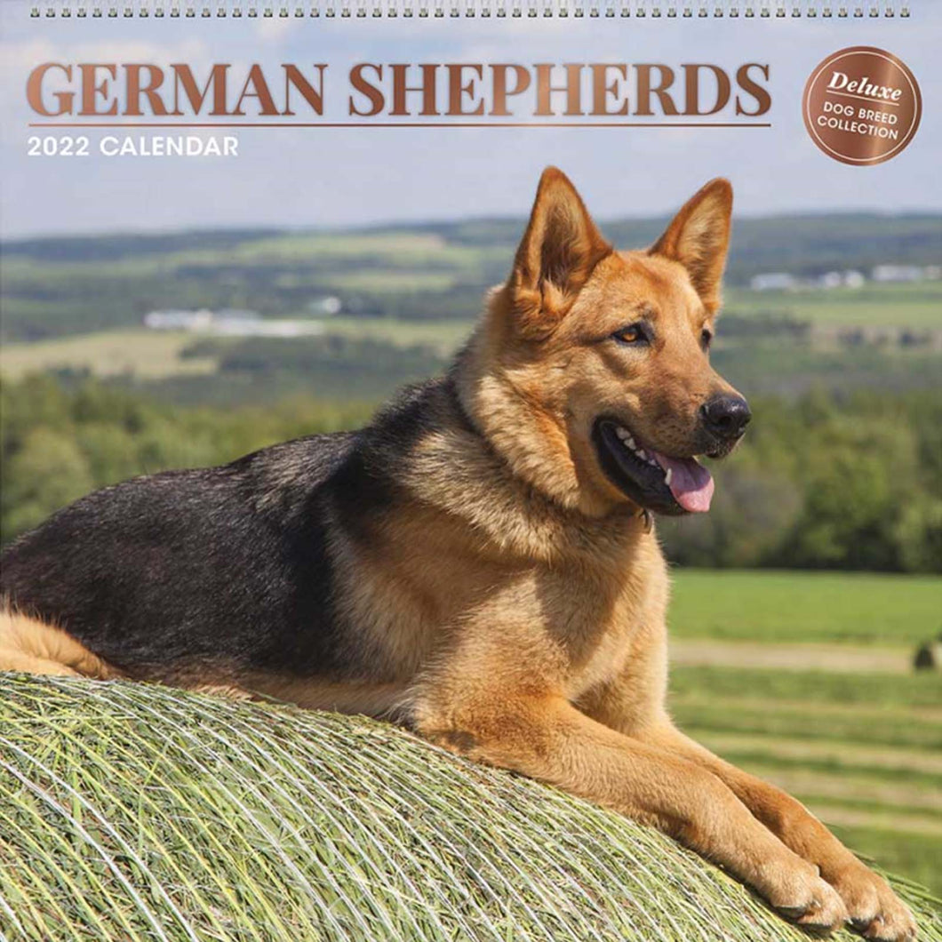 German Shepherd 2022 Calendar
