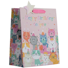 Load image into Gallery viewer, Partisan Cat Birthday Party Gift Bag L/XL
