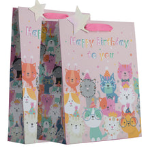 Load image into Gallery viewer, Partisan Cat Birthday Party Gift Bag L/XL
