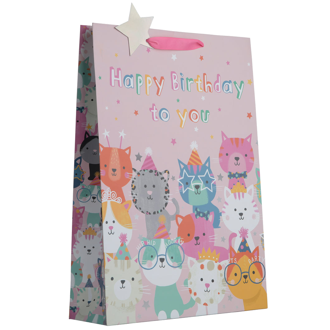 Partisan Cat Birthday Party Gift Bag L/XL